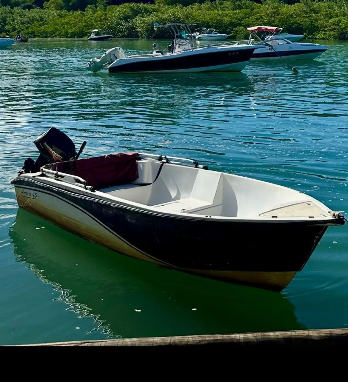 Corisco 450 mercury 15hp