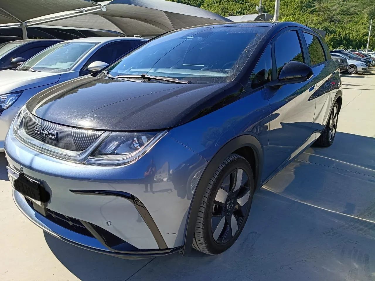 BYD Dolphin Plus (Elétrico) 2025 - Foto 2