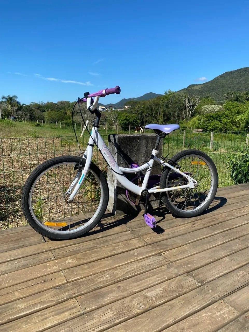 Caloi Ceci aro 20