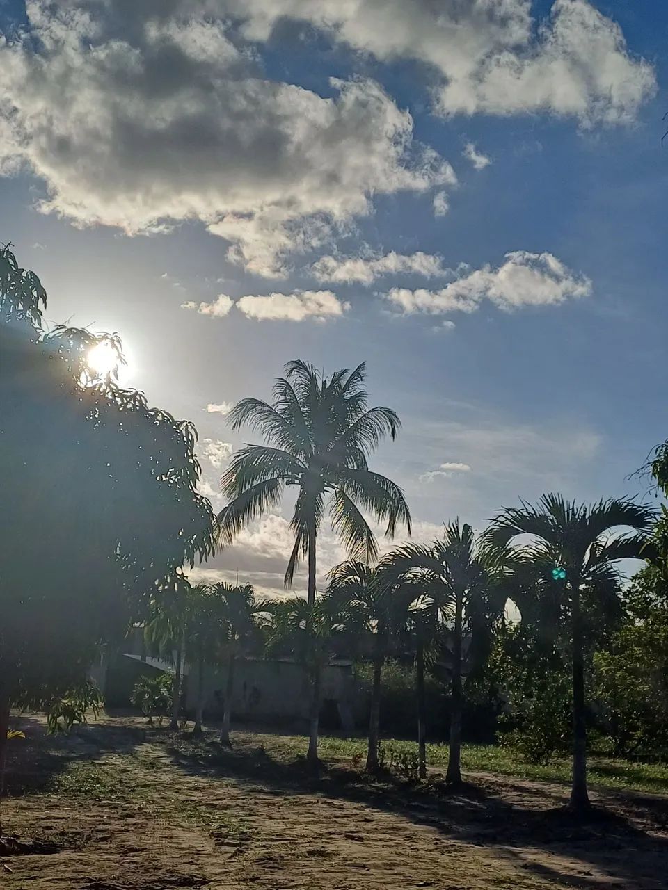 VENDO EXCELENTE CHÁCARA  - Foto 4