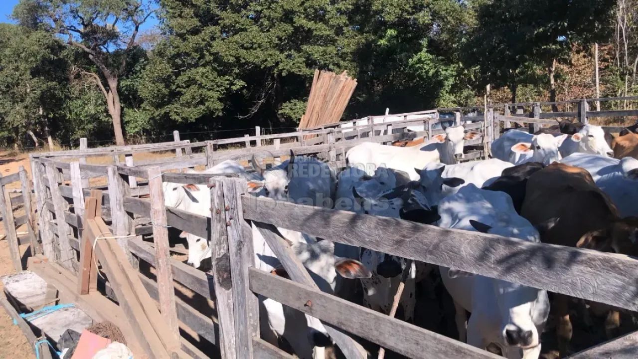 Fazenda | Urucuia - Foto 3