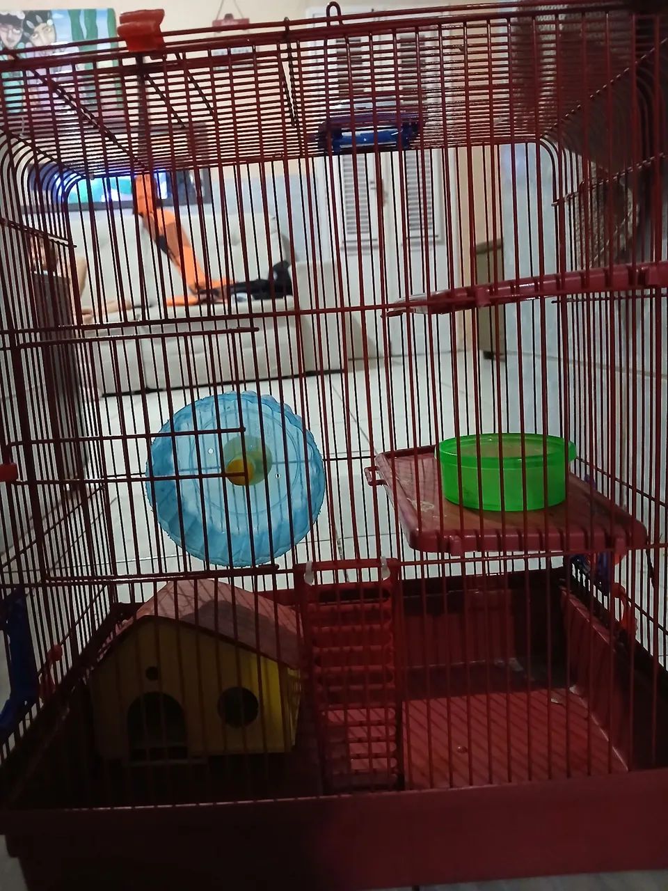 Gaiola