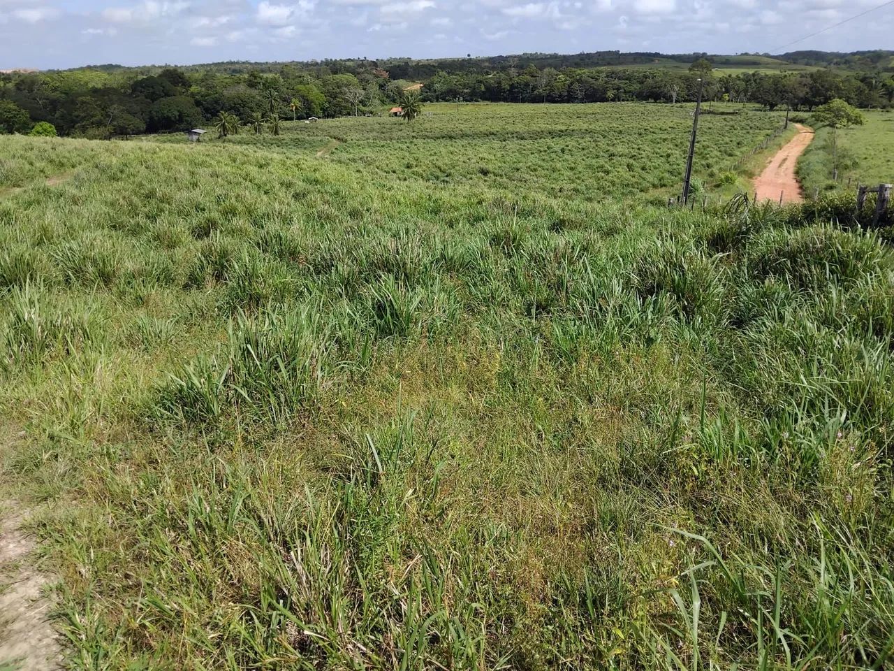 Fazenda