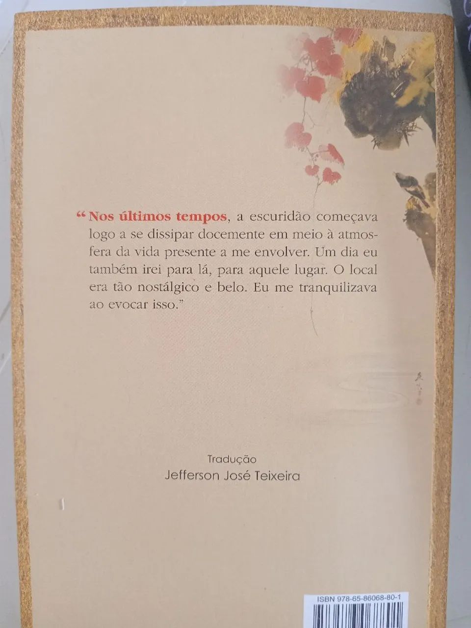 Doce Amanhã livro  - Foto 2