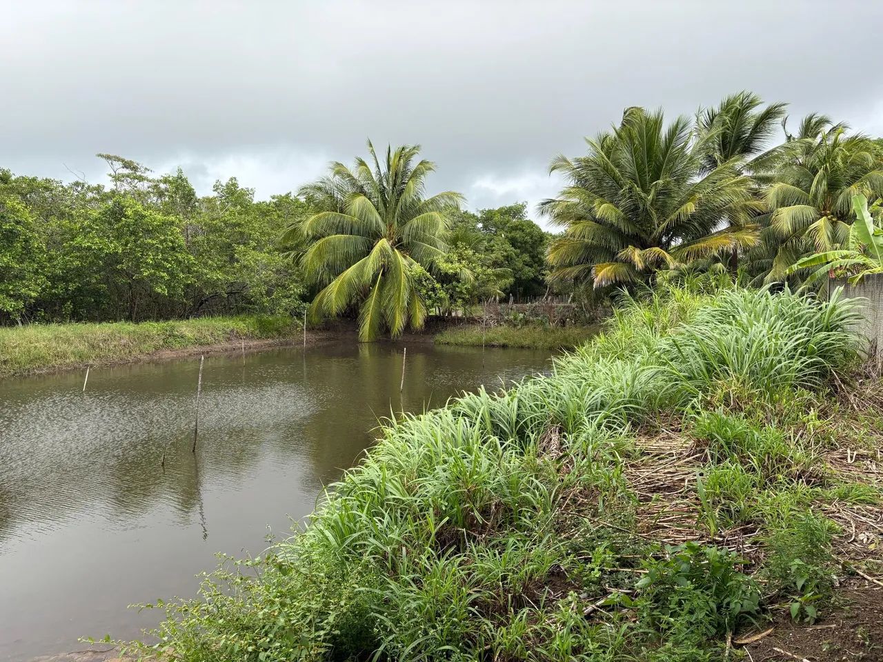 Granja em natal - Foto 3