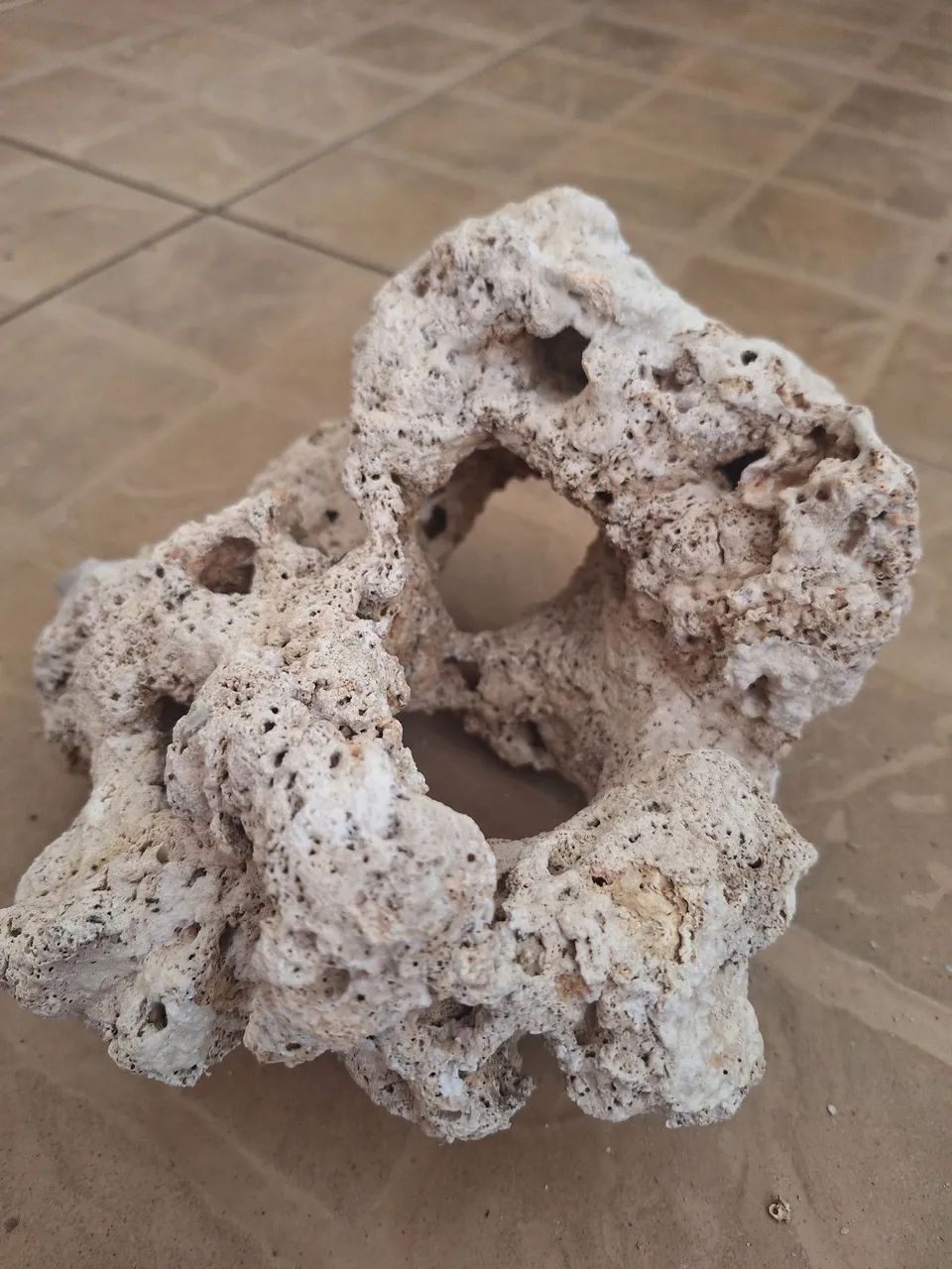 Rocha para aquário  - Foto 4