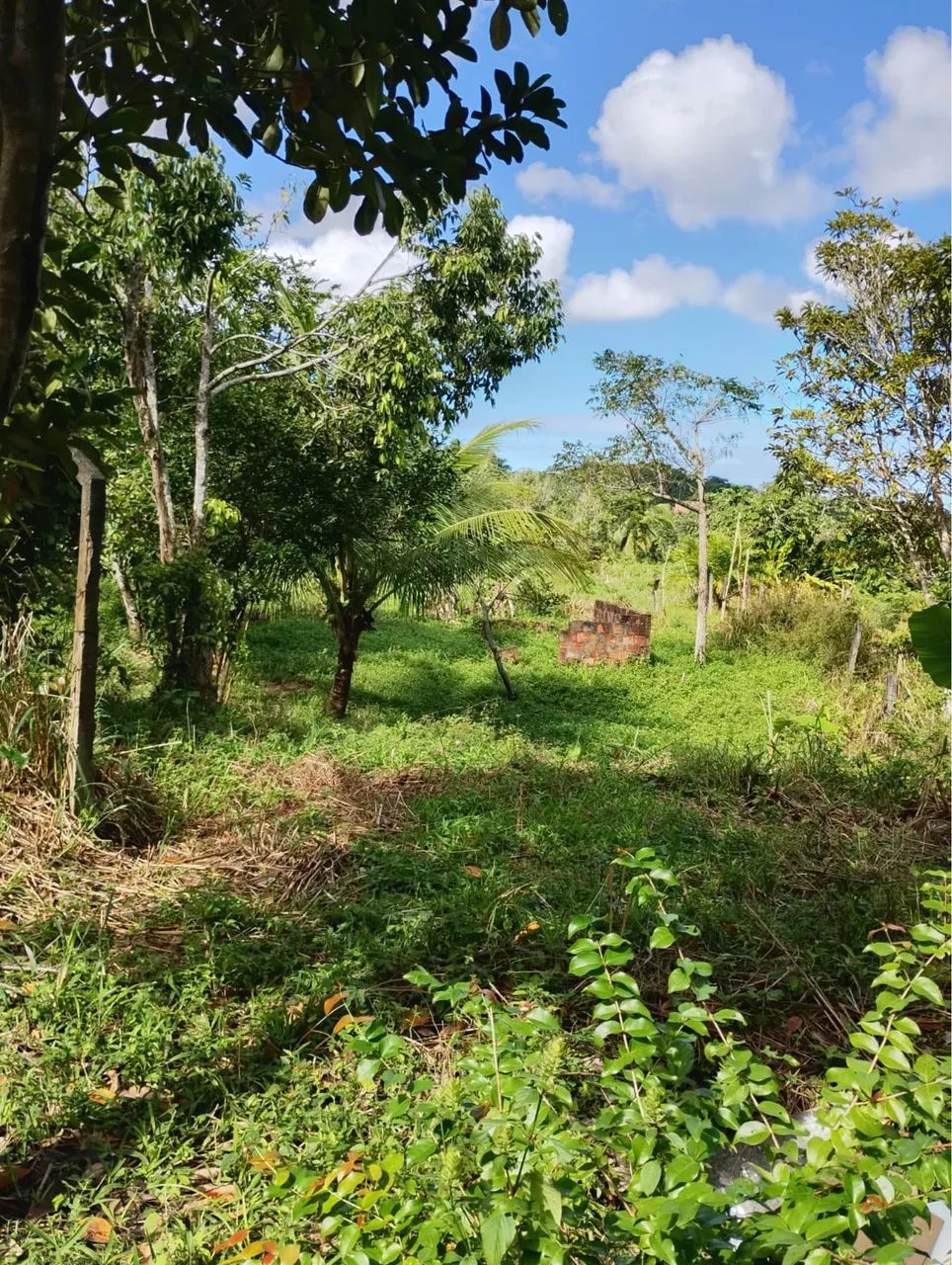 Casa a venda em Mapele  - Foto 4