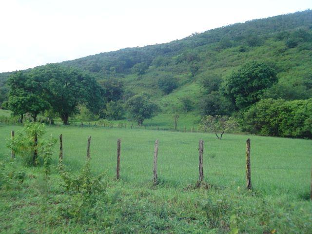 Vale Jiquiriçá-Fazenda - 800 Tarefas, analisa troca p\imóvel em Salvador - Foto 14
