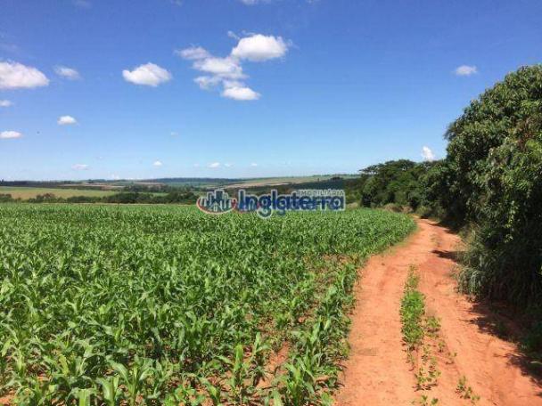 Fazenda à venda, 4982600 m² por R$ 18.000.000,00 - Centro - Santa Fé/PR - Foto 7