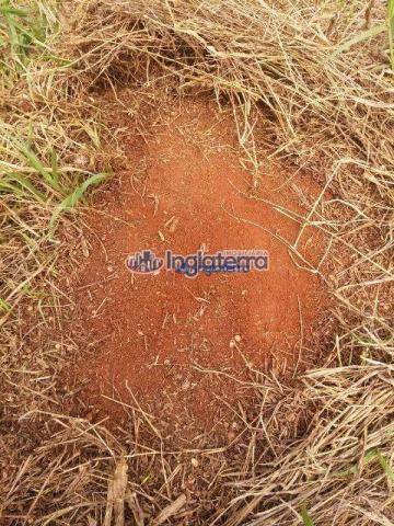 Fazenda à venda, 1817,07 alq. por r$ 36.790.000 - centro - diamantino/mt - Foto 8
