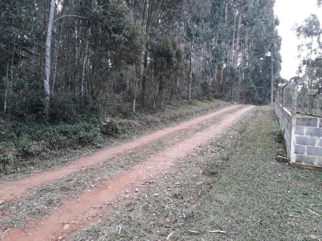Chácara - Sítio - Mandirituba próx. Fazenda Rio Grande - Foto 9