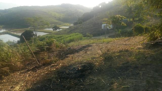 Fazenda em Jacupiranga-SP Barro Branco Vale do Ribeira - Foto 2