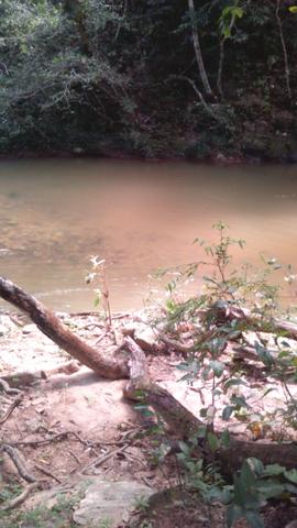 Chacara - Foto 4