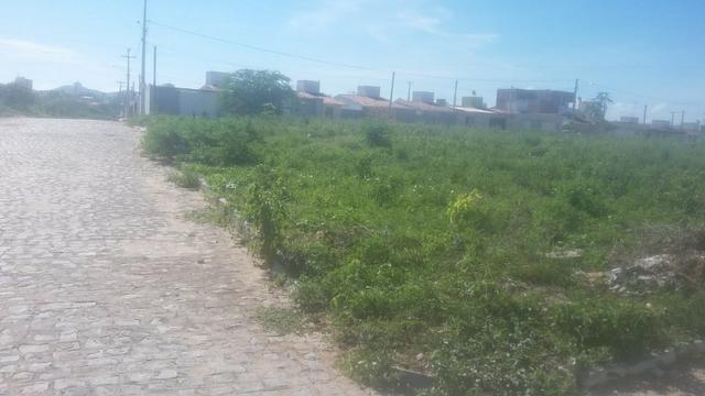 Vitória de Sto Antão=Vend. 155 mil terreno com 3.2 Hect. na BR-232 = Beira da Pista - Foto 13