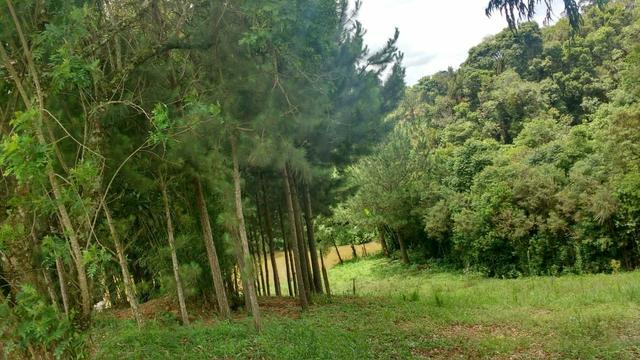 Chácara em Araucária - Foto 10
