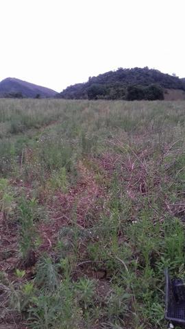 Cachoeiras de Macacu - Guapiaçu - linda propriedade de 20.000m2 - Foto 8