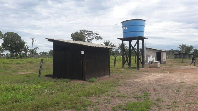 Fazenda - Foto 13