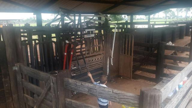 Fazenda - Foto 3