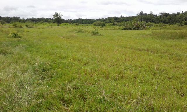 Fazenda em Roraima -São Luiz - Foto 3
