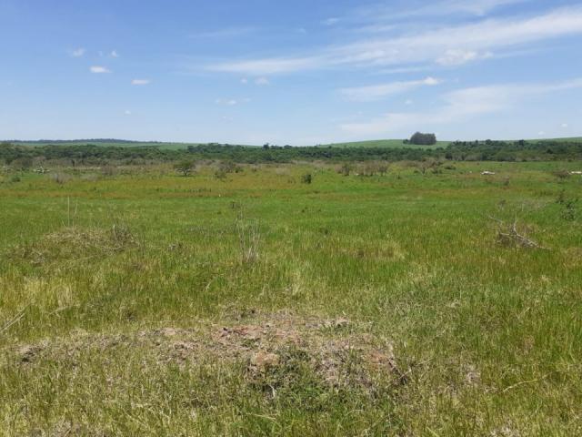8271 | Fazenda à venda em ZONA RURAL, Ivailandia - Foto 10