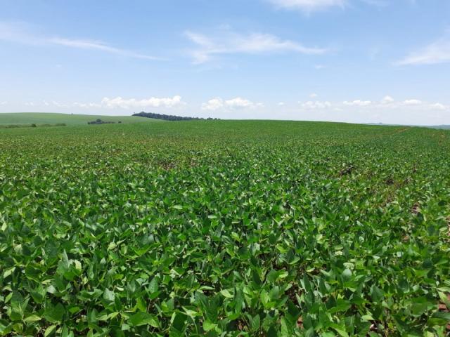 8271 | Fazenda à venda em ZONA RURAL, Ivailandia - Foto 2