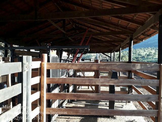 Fazenda em Niquelandia! - Foto 3