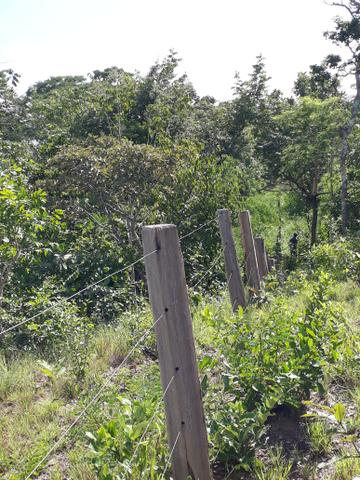 Vendo terreno de 7 alqueiro de terra viagem - Foto 14