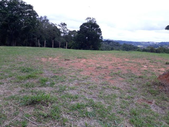 11* Meu terreno em ótima localização e fácil acesso! - Foto 7