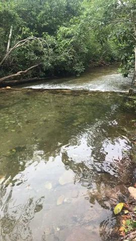 Chacara a margens do rio Paciêcia - Foto 3
