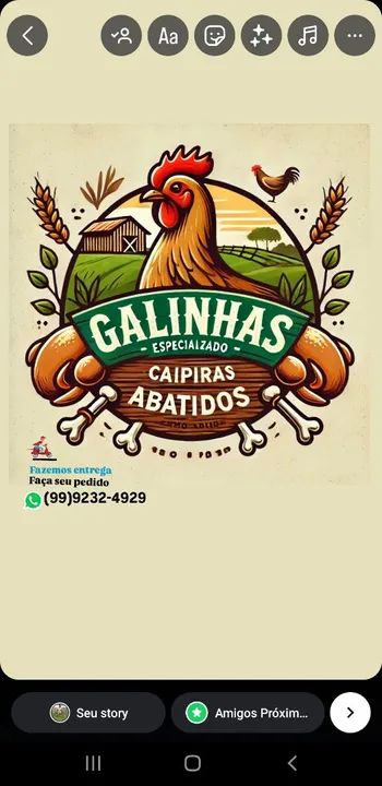 Galinhas Caipiras Abatidas - Frescas 