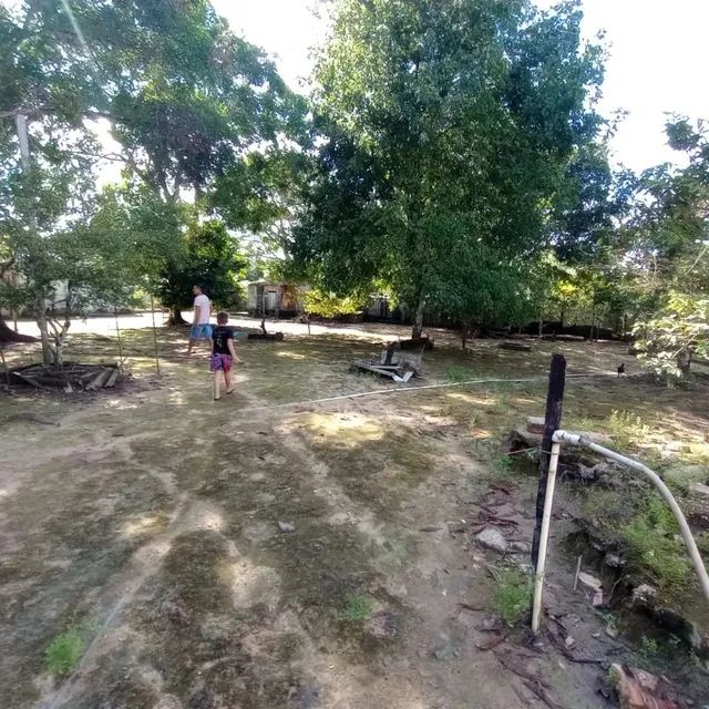 VENDO SITIO BRASILEIRINHO KM8  - Foto 3