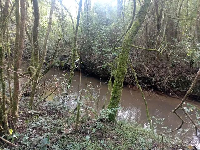 Chácara em agudos do Sul  - Foto 5