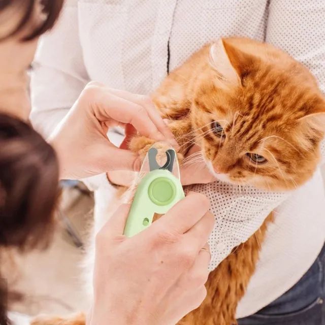 Alicate Tesoura para unhas de Pets com cabo emborrachado Luz Led e Lixa - Foto 3