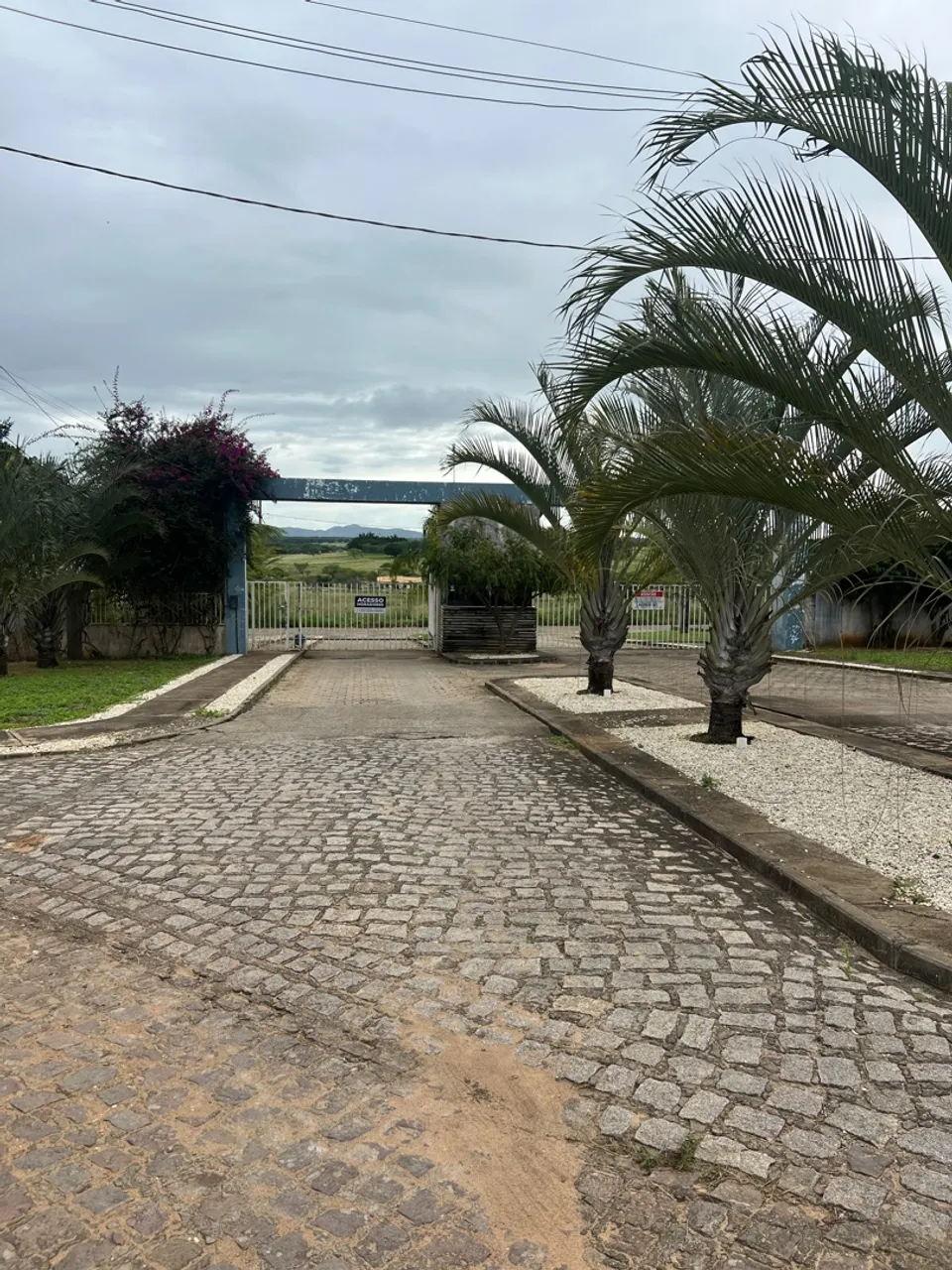 Terreno no Alice Pinto | Condomínio Fechado | Pronto para Construir | Oportunidade!