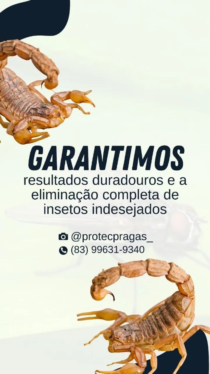 Dedetização comercial e residencial - Foto 2