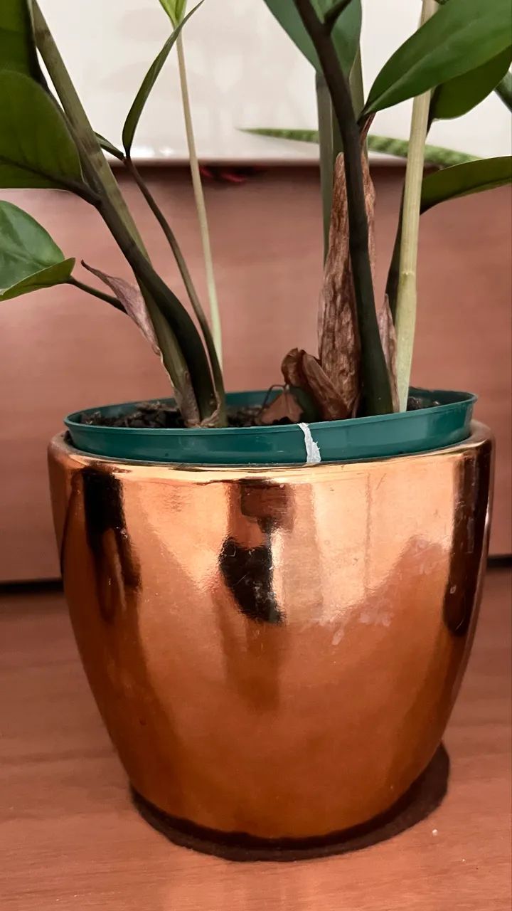 Vaso  de metal com plantas completo 2 conju 120 - Foto 2