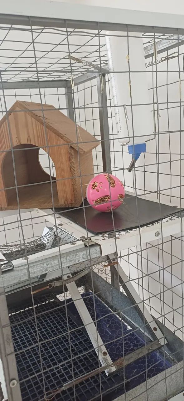 Gaiola Para Roedores  - Foto 4