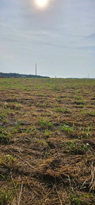 Lotes a partir de mil metros direto com proprietário  - Foto 2