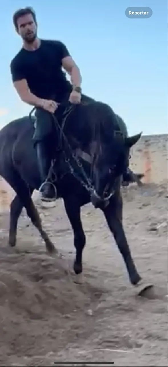 Cavalo potro quarto de milha vaquejada - Foto 5