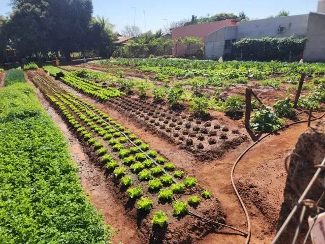 Foto - São José do Rio Preto - Centro