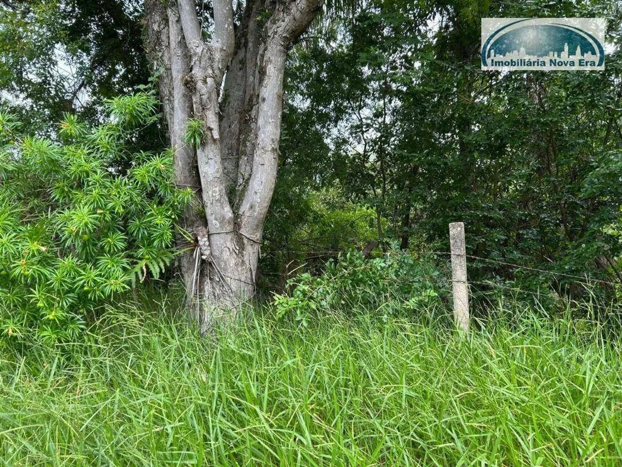 Chácara à venda, 5000 m² por R$ 4.000.000,00 - Monte Alegre - Vinhedo/SP - Foto 10