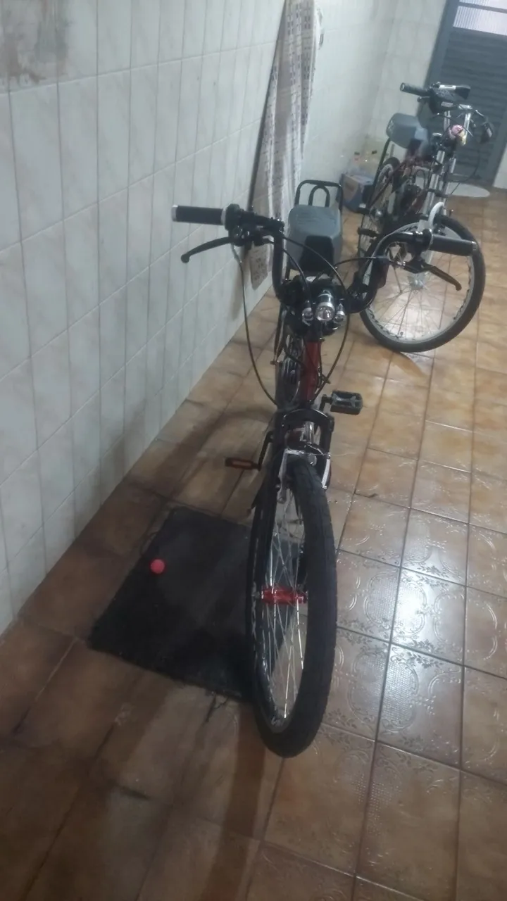 Motociclista 