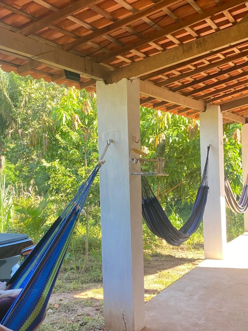 Vende-se chácara 150,000 - Foto 2