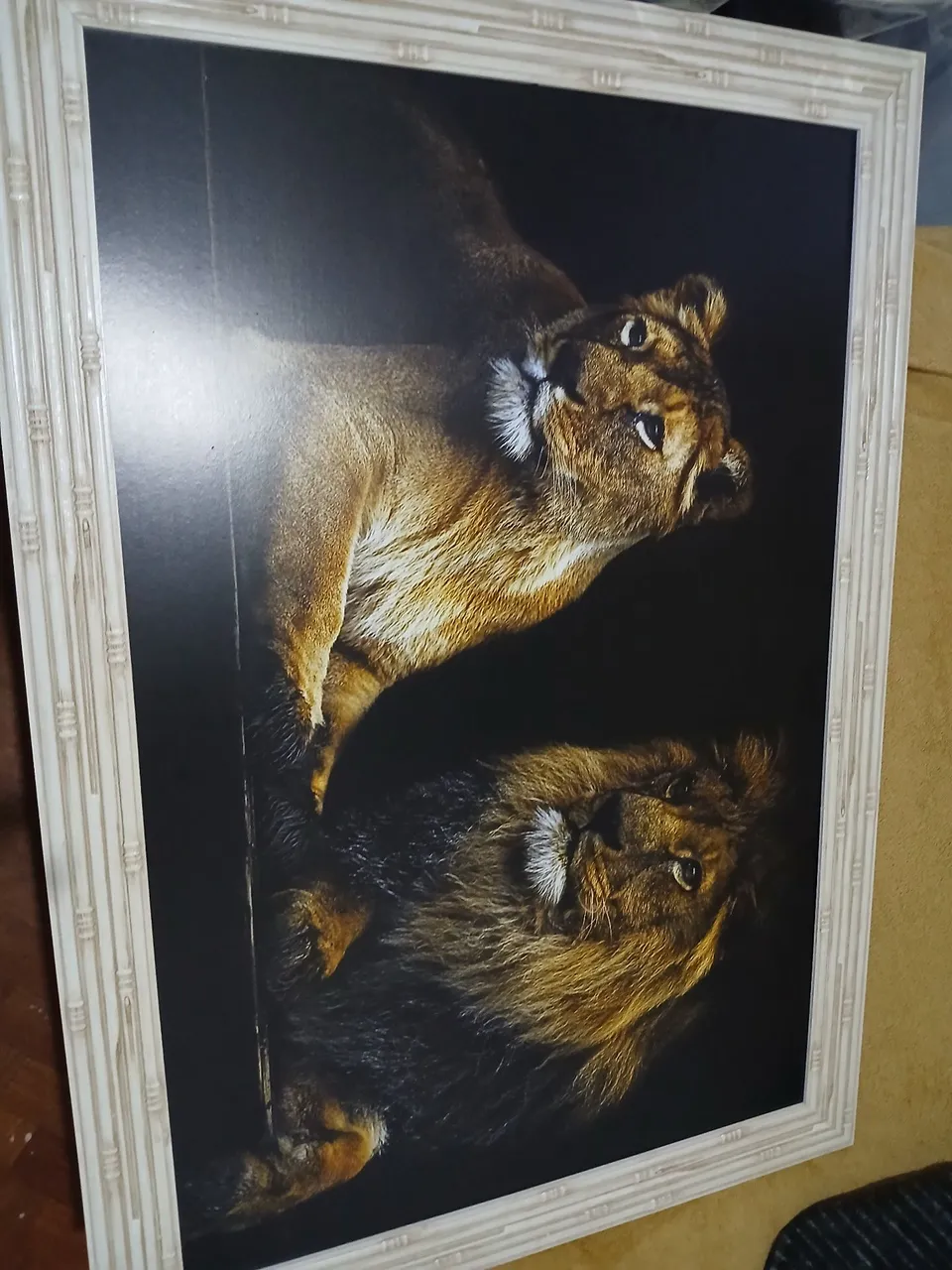 Quadro Decorativo Leão e Leoa em Moldura