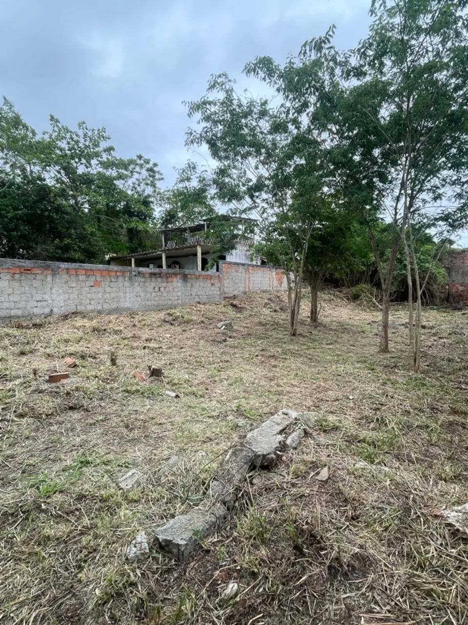 corte de grama , jardim , mato , limpeza de terreno - Foto 4