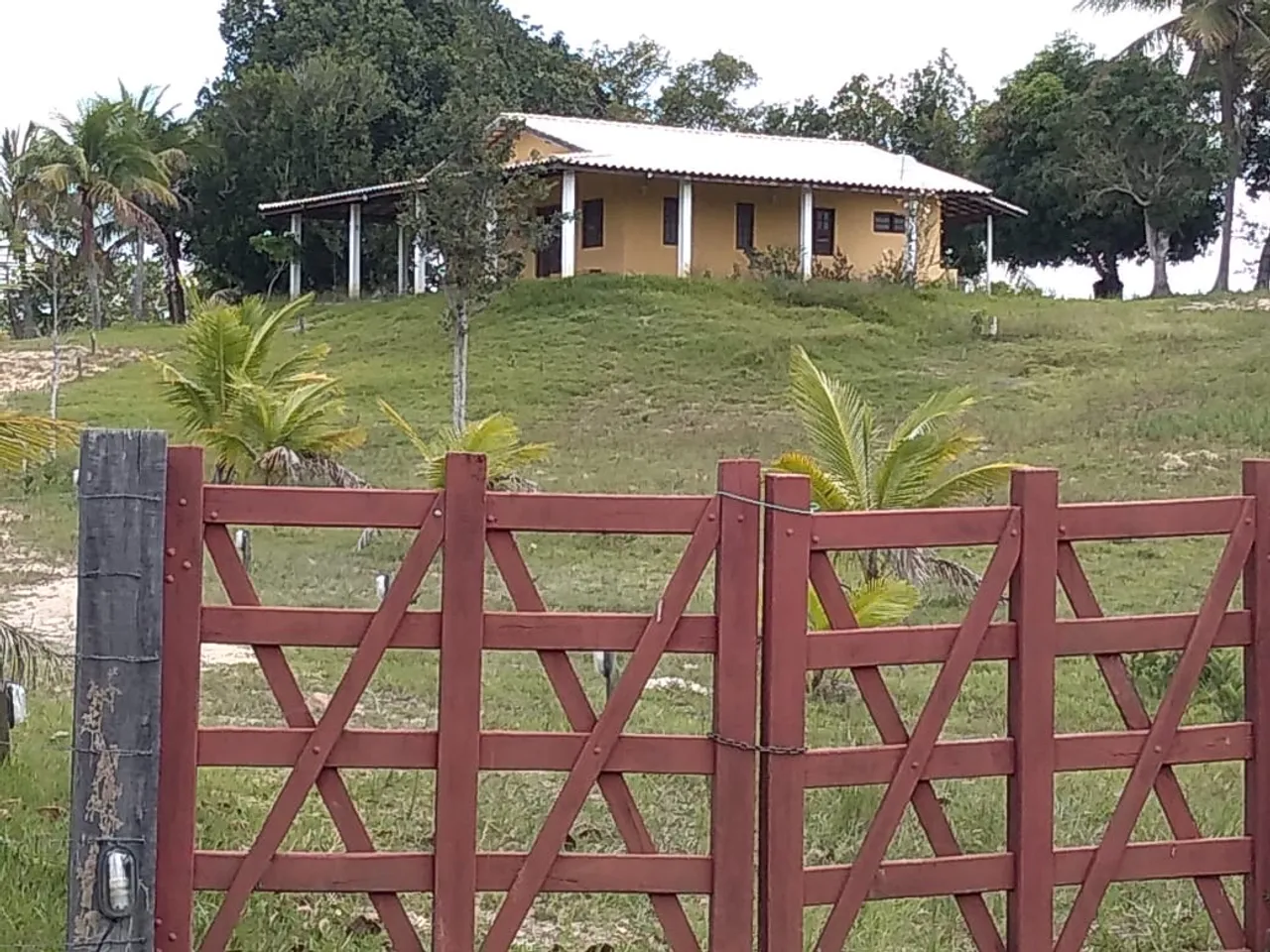 Pequena fazenda pov. Panelas