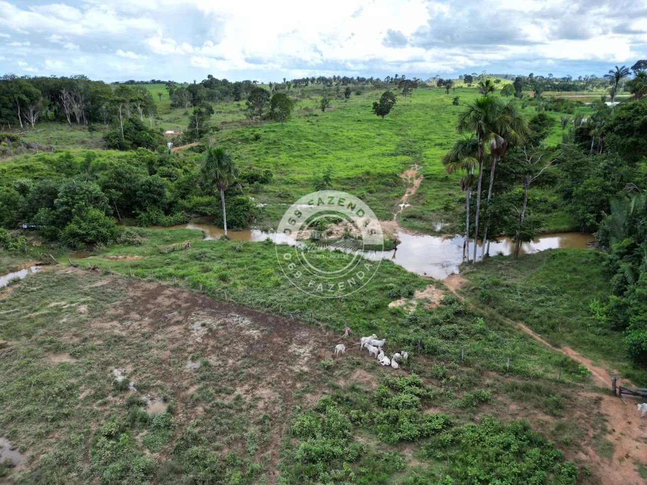 Sítio de 17 alqueires disponível em Ariquemes - Foto 5