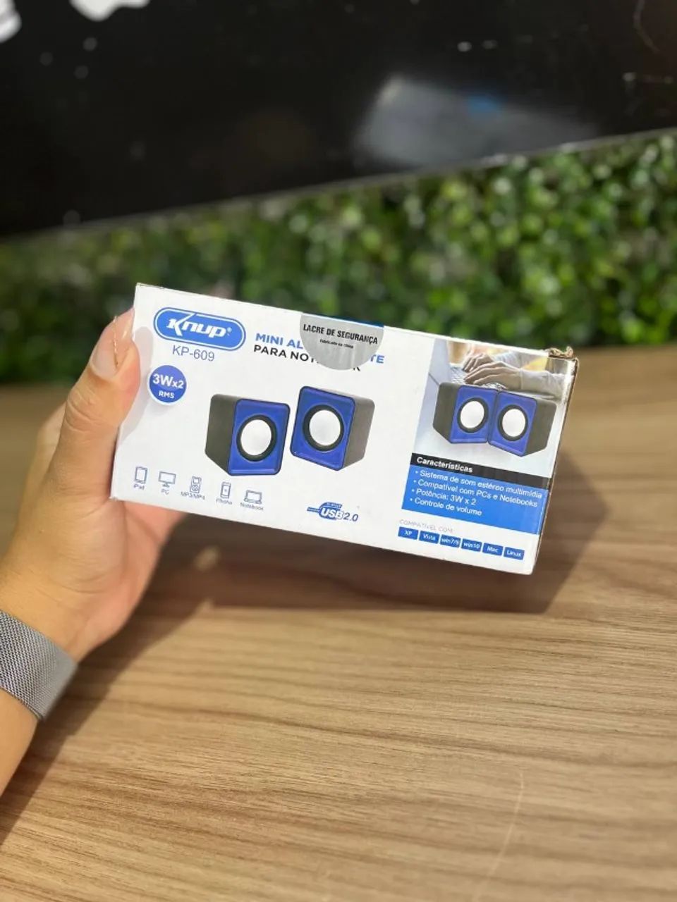 Caixa de Som para Computador KNUP KP-609