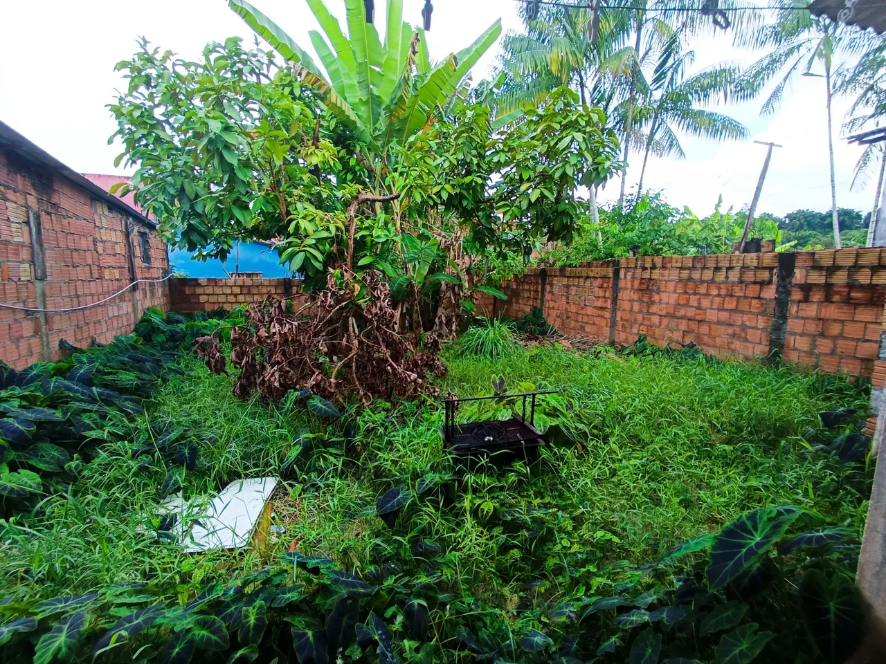 //Casa com quintal espaçoso no Jorge Teixeira