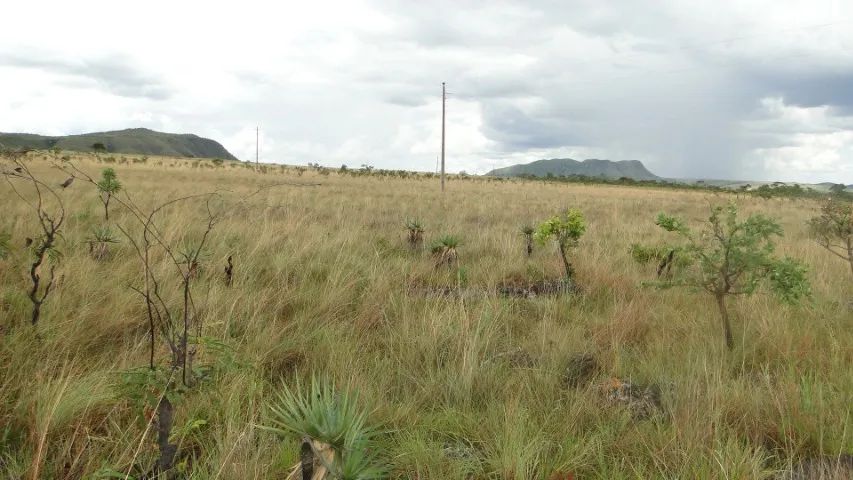40.000 m² CHÁCARAS NA CHAPADA DOS VEADEIROS   - Foto 4